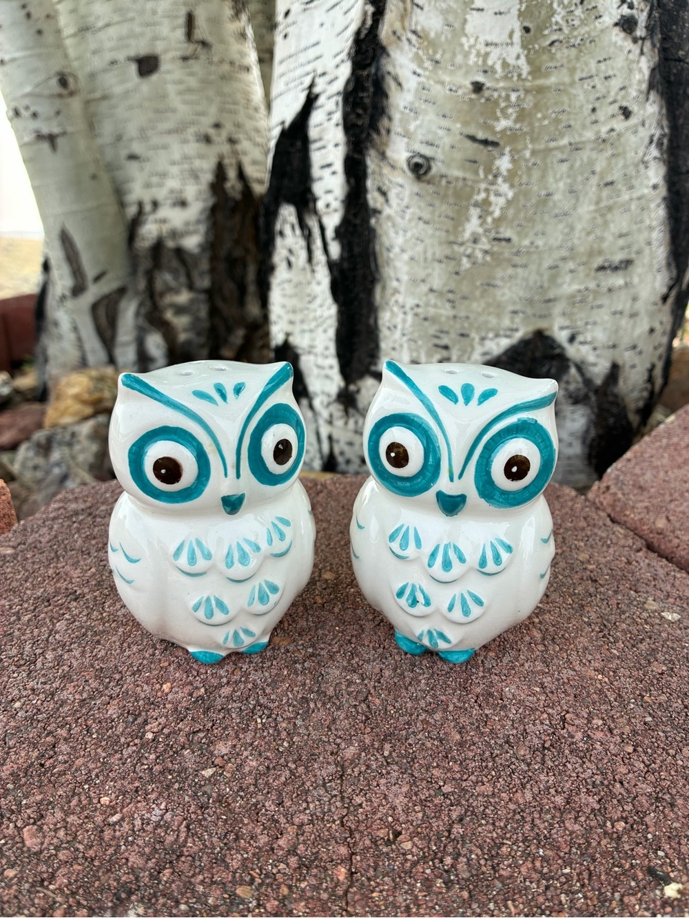 Boston Warehouse Floral Owl Ceramic Salt & Pepper Shaker Set